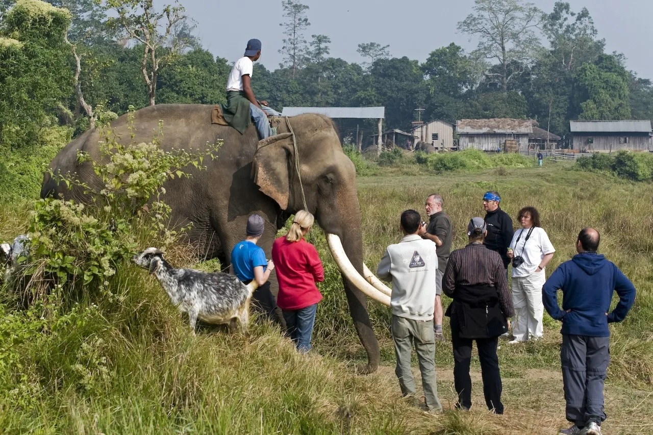 Elephant Breeding Center