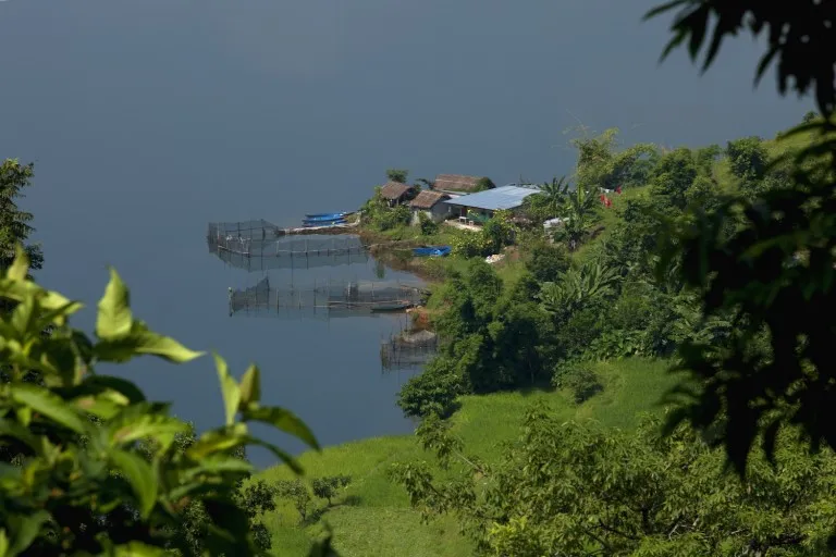 Phewa Lake