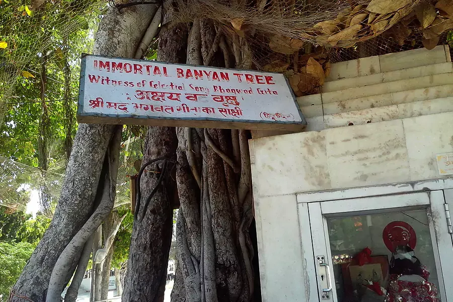 Akshaya Vat